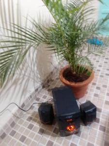 Leo World Class Homes