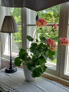 Loma tai perhejuhlat Bobackan pihatorpassa