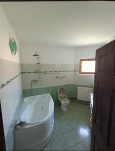 Innaianina apartament