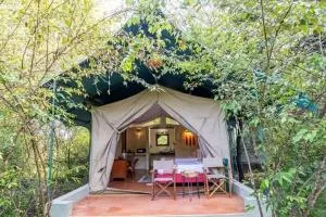 Giraff maasai mara home stay&safaris - Talek