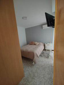 Departamento Thompson