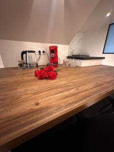 Jolie dépendance équipée