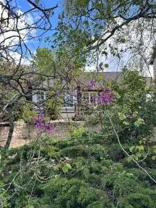 Le petit cocon de Breuilpont - 莎弗莱斯邦尼尔