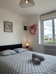 Appartements Appartement Cosy en Centre Ville : Appartement 1 Chambre