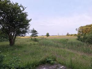 Felix Balena - get away op Texel