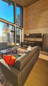 Levi Frame Valkiava Villa