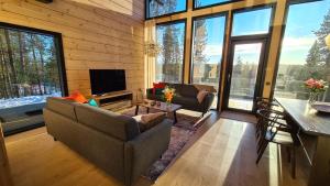 Levi Frame Valkiava Villa