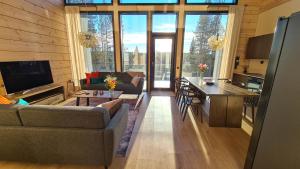 Levi Frame Valkiava Villa