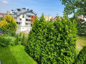 Apartament Domaniówka