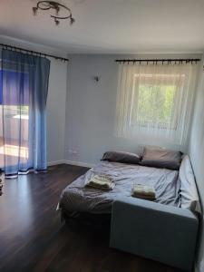 Apartament Domaniówka