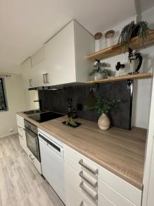 Aurora Polaris Apartment - Outdoor Sauna - FREE Parking - 750m from City Center