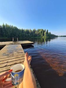 Laurora Nest by the river