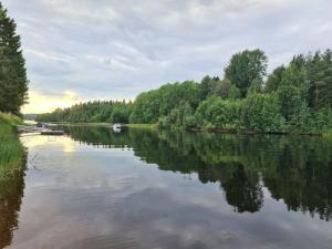 Laurora Nest by the river