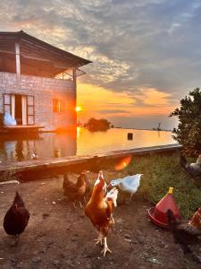 Casa Grande Coffee House