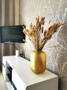 Holiday apartment in Kyklades Complex with gym&pool