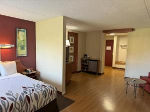 King Studio with Sofa Bed room in Sycamore Suites