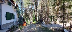 Forest villa Atlantic