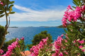 Apartment Zamalin SeaView