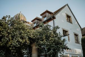 Modern Boho-Style Apartment