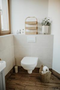 Modern Boho-Style Apartment