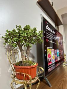 departamento airport