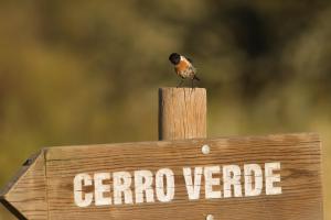 Finca Cerro Verde