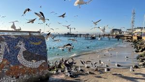 Arriendo vacacional departamento Algarrobo