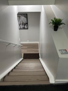 A Luxurious Cozy Place