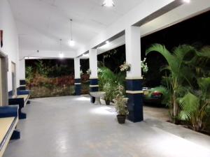 Sara's Grove Boutique Bungalow