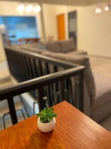 CasaNinos, casa de la gente buena