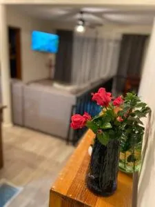 CasaNinos, casa de la gente buena - Viñedos