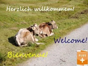 Appartement Bergfrieden Oberstaufen - Steibis