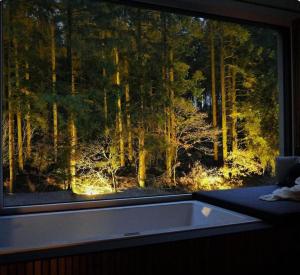 Golden Sunset Wellness Suite