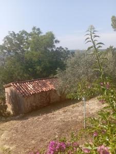 Maison contemporaine avec piscine vue dégagée