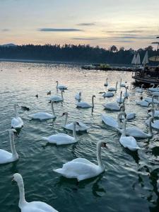 Apartment Little Heaven