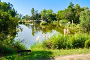 Appartements Appartement Vaugrenier Presidences : Appartement Supérieur 1 Chambre