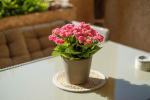 Appartements Appartement Vaugrenier Presidences : photos des chambres