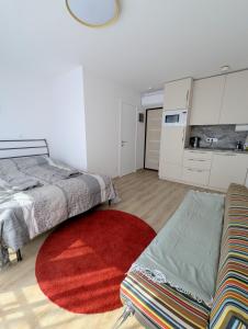 M&M studio in Palanga