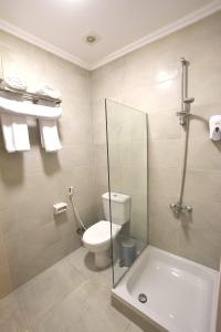 Topview Pyramids And Museum