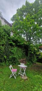 Magic Garden in the heart of Ljubljana