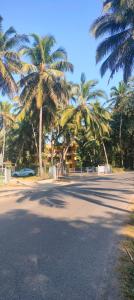 Bamboo Homestay