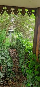 Magic Garden in the heart of Ljubljana