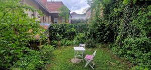 Magic Garden in the heart of Ljubljana