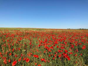 Maison de Village 5 chambres