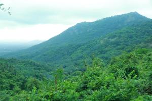 Whiteflower Mountain Resort