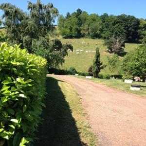 Maisons de vacances Au Clos des Ormes : photos des chambres