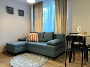 Nowoczesny apartament blisko centrum - Wincentów