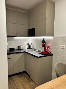 Apartman u centru Kolasina sa garazom