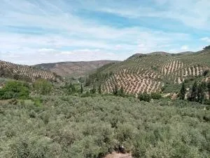 El Almendro de la Tia Teresa - Arroyo del Ojanco