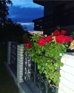 Vila Jevtić studio 1